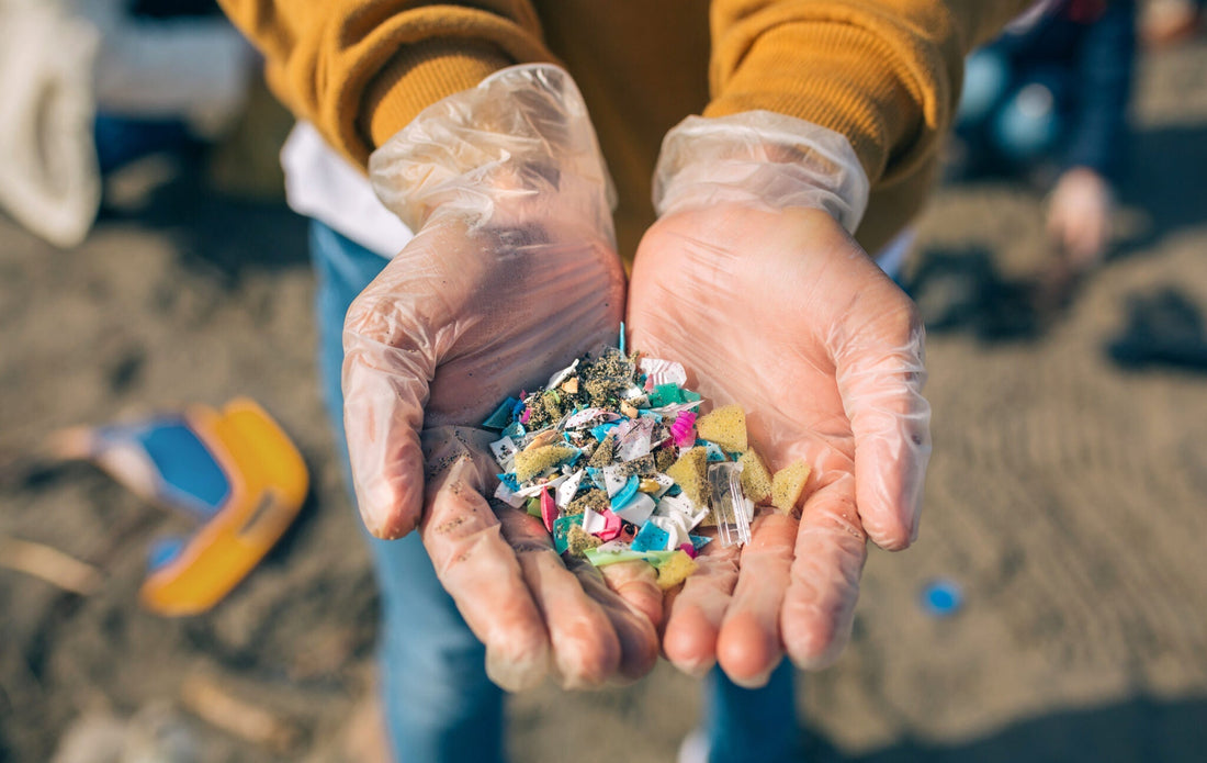 The Impact of Plastic on BC Beaches