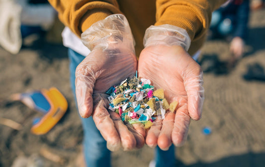 The Impact of Plastic on BC Beaches