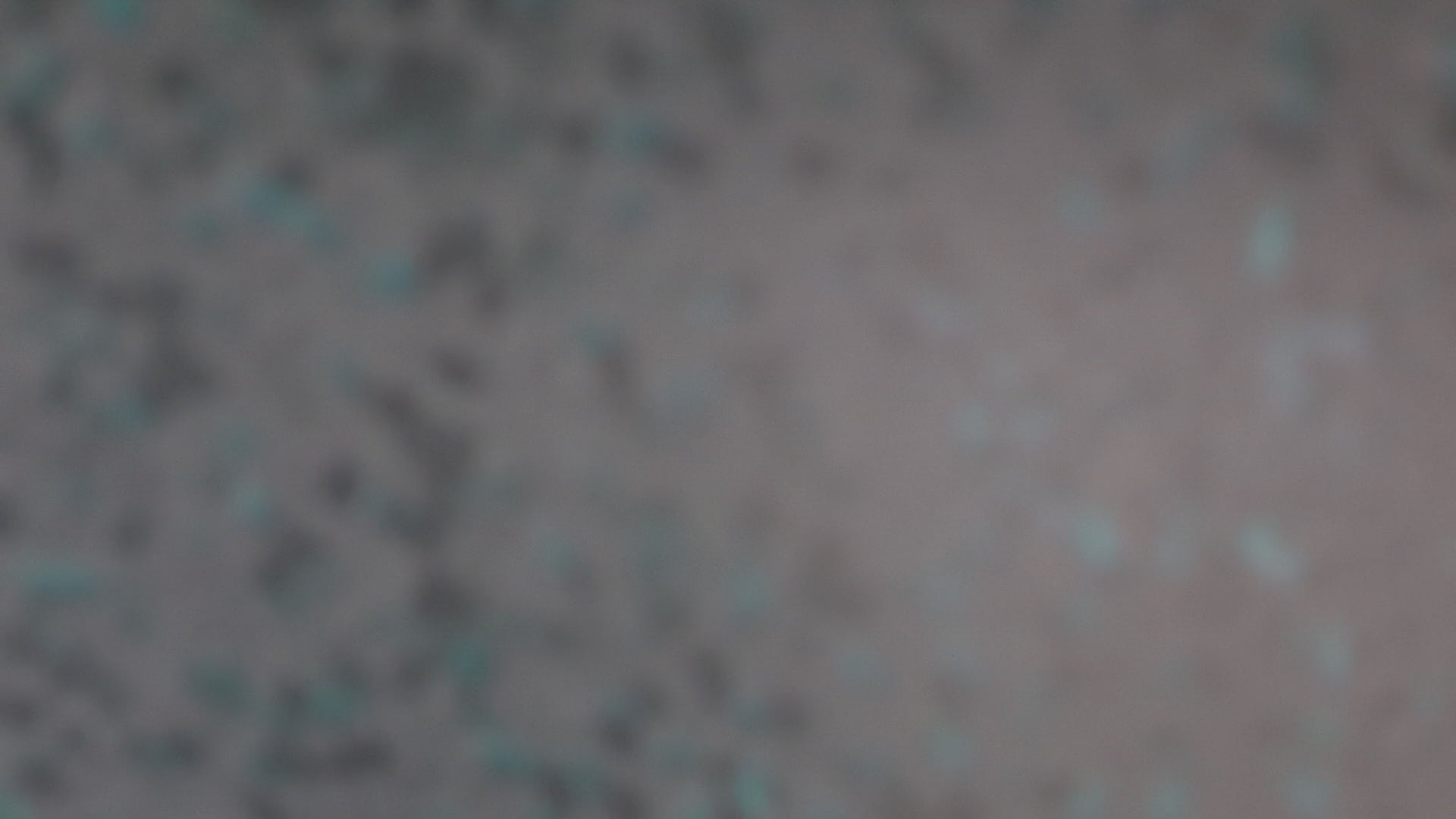 Circular Materials for Commercial Spaces